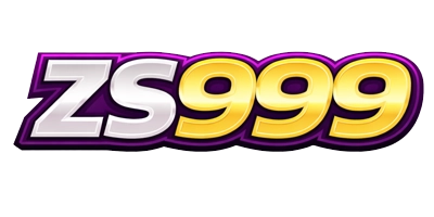 ZS999 logo